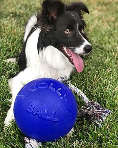 Jolly Pets Romp-n-Roll Rope and Ball Dog Toy, 8 Inches/Large, Orange