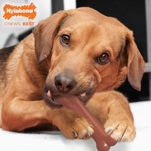 Nylabone Power Chew Classic Bone Chew Toy for Dogs, Durable Dog Toys for Aggressive Chewers, Bacon & Chicken Flavor, Medium/Wolf (2 Count)