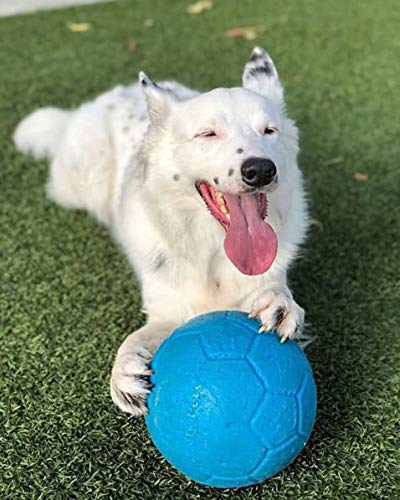 Jolly Pets Medium Soccer Ball Floating-Bouncing Dog Toy, 6 inch Diameter, Apple Green (SB06 GR)