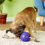 Jolly Pets Romp-n-Roll Rope and Ball Dog Toy, 8 Inches/Large, Orange