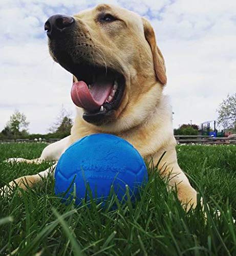 Jolly Pets Medium Soccer Ball Floating-Bouncing Dog Toy, 6 inch Diameter, Apple Green (SB06 GR)