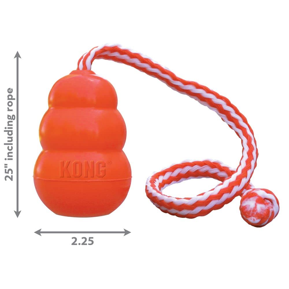 KONG Aqua Floating Fetch Toy - Dog Floating Toy for Water Retrieval, Play, Exercise & More - Natural Rubber Dog Toy with Foam Interior & Rope for Farther Throwing - Orange, for Large Dogs