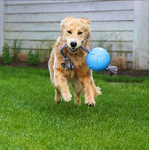 Jolly Pets Romp-n-Roll Rope and Ball Dog Toy, 8 Inches/Large, Orange