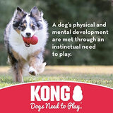 KONG Extreme Ball with Hole - Dog Fetch Toy - Durable Dog Ball Toy for Training, Interactive Playtime & More - Natural KONG Extreme Rubber Ball for Dogs - Black - For Large/Medium Dogs