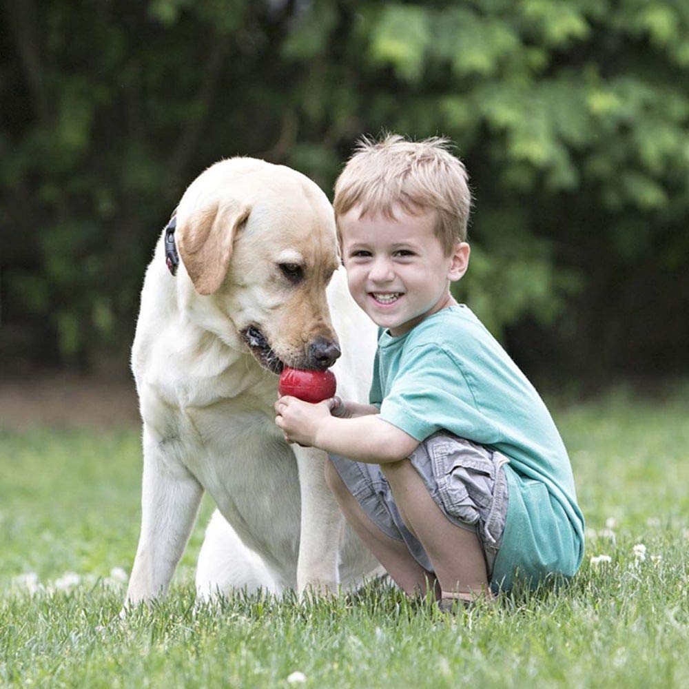 KONG Classic Stuffable Dog Toy - Fetch & Chew Toy for Dogs - Treat-Filling Capabilities & Erratic Bounce for Extended Play Time - Durable Natural Rubber Material - for Large Dogs