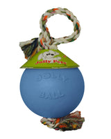 Jolly Pets Romp-n-Roll Rope and Ball Dog Toy, 8 Inches/Large, Orange