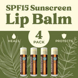 USDA Organic Lip Balm 6-Pack by Earth's Daughter Stocking Stuffers - Fruit Flavors, Beeswax, Coconut Oil, Vitamin E - Best Lip Repair Chapstick for Dry Cracked Lips - Moisturizing Lip Care