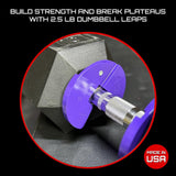 Micro Gainz Dumbbell Fractional 1.25lb Weight Plate, Ideal for Micro Loading, (Choose Color) 2 Piece Fractional Weight Plates, Designed for Dumbbell Training, Made In USA