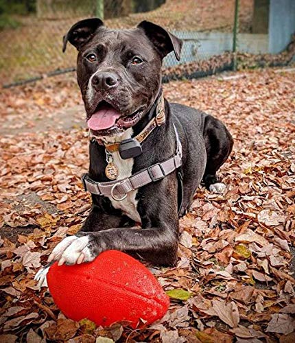 Jolly Dog Football 8-Green Apple, (Model: JF08 GR), for All Breed Sizes