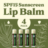 USDA Organic Lip Balm 6-Pack by Earth's Daughter Stocking Stuffers - Fruit Flavors, Beeswax, Coconut Oil, Vitamin E - Best Lip Repair Chapstick for Dry Cracked Lips - Moisturizing Lip Care
