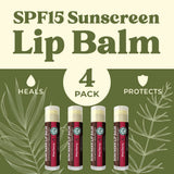 USDA Organic Lip Balm 6-Pack by Earth's Daughter Stocking Stuffers - Fruit Flavors, Beeswax, Coconut Oil, Vitamin E - Best Lip Repair Chapstick for Dry Cracked Lips - Moisturizing Lip Care