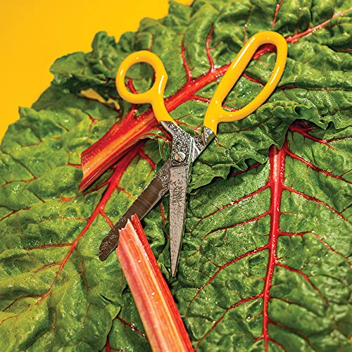 Klein Tools 23011 Scissors, Made in USA, Bent Trimmer for Felt Lining, Cord, Rubber, Fabric, and More, with Extended Handle for Leverage, 11-1/4-Inch
