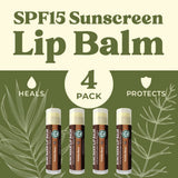 USDA Organic Lip Balm 6-Pack by Earth's Daughter Stocking Stuffers - Fruit Flavors, Beeswax, Coconut Oil, Vitamin E - Best Lip Repair Chapstick for Dry Cracked Lips - Moisturizing Lip Care