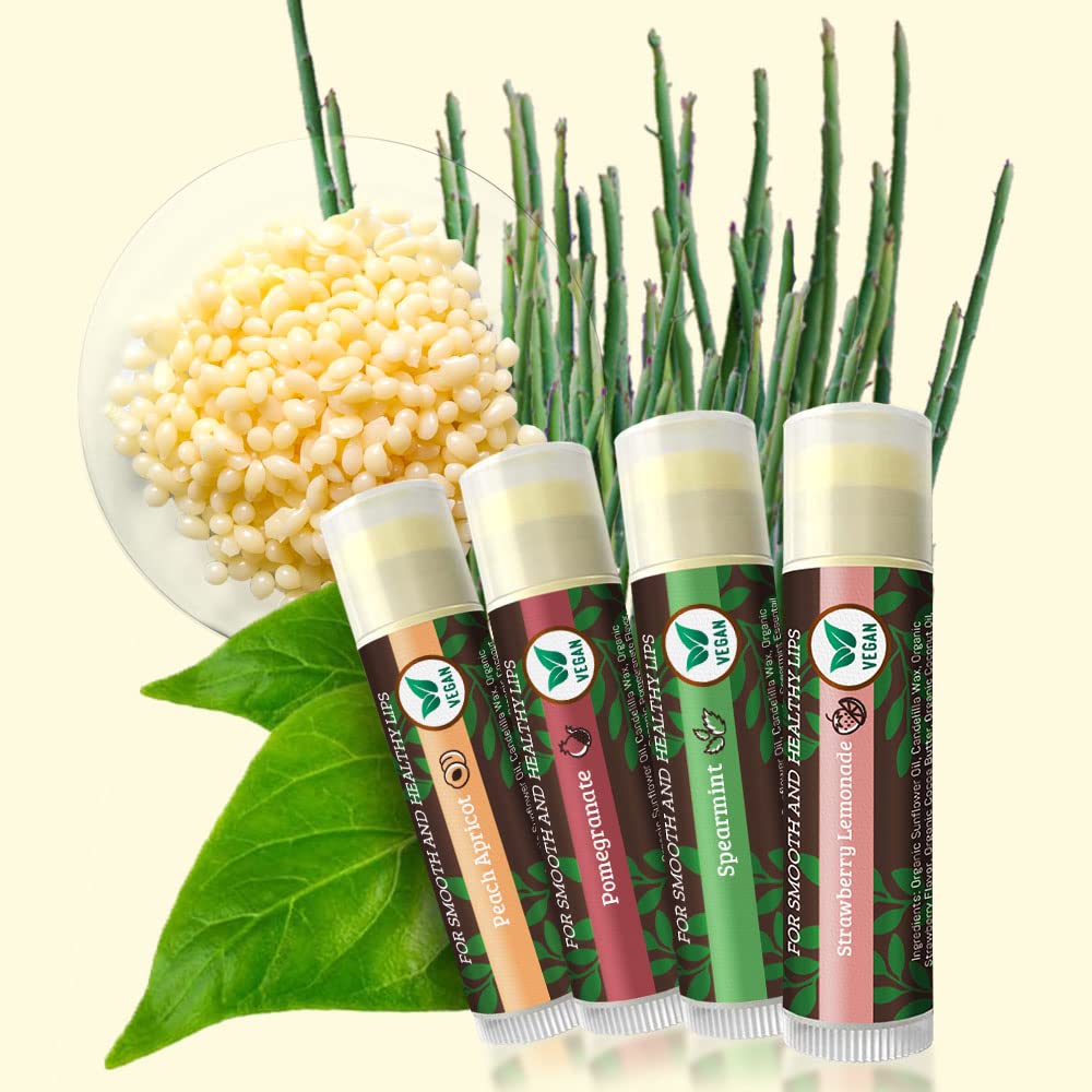 USDA Organic Lip Balm 6-Pack by Earth's Daughter Stocking Stuffers - Fruit Flavors, Beeswax, Coconut Oil, Vitamin E - Best Lip Repair Chapstick for Dry Cracked Lips - Moisturizing Lip Care