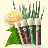 USDA Organic Lip Balm 6-Pack by Earth's Daughter Stocking Stuffers - Fruit Flavors, Beeswax, Coconut Oil, Vitamin E - Best Lip Repair Chapstick for Dry Cracked Lips - Moisturizing Lip Care