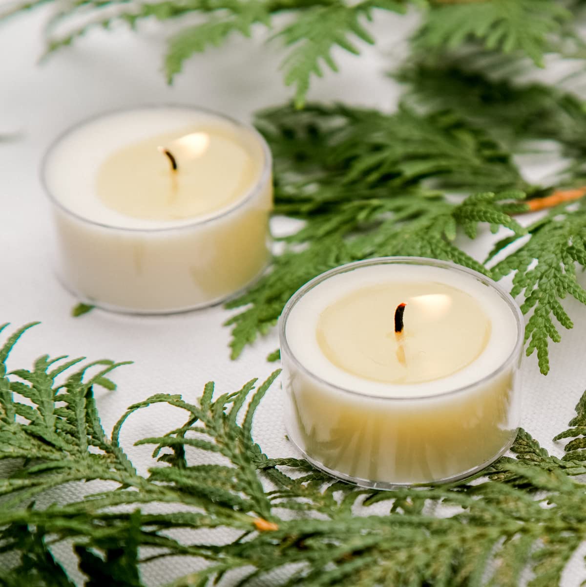 Santa's Naturals Fraser Fir Christmas Candle (9oz) | Authentic Pine Scent | Christmas Gift | Burns 30+ Hours | Made in USA | Soy and Beeswax Blend with Essential Oils | Holiday Candle