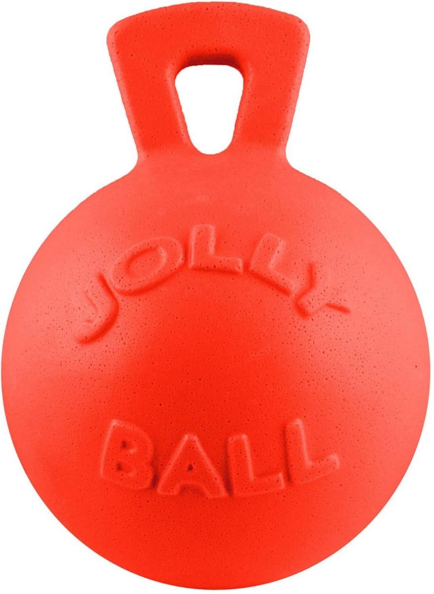 Jolly Pets Tug-n-Toss Heavy Duty Dog Toy Ball with Handle, 8 Inches/Large, Blueberry