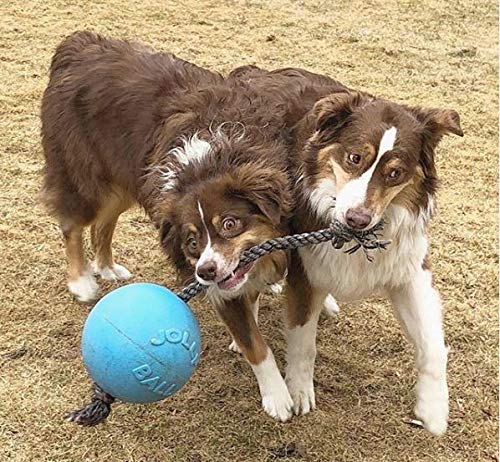 Jolly Pets Romp-n-Roll Rope and Ball Dog Toy, 8 Inches/Large, Orange