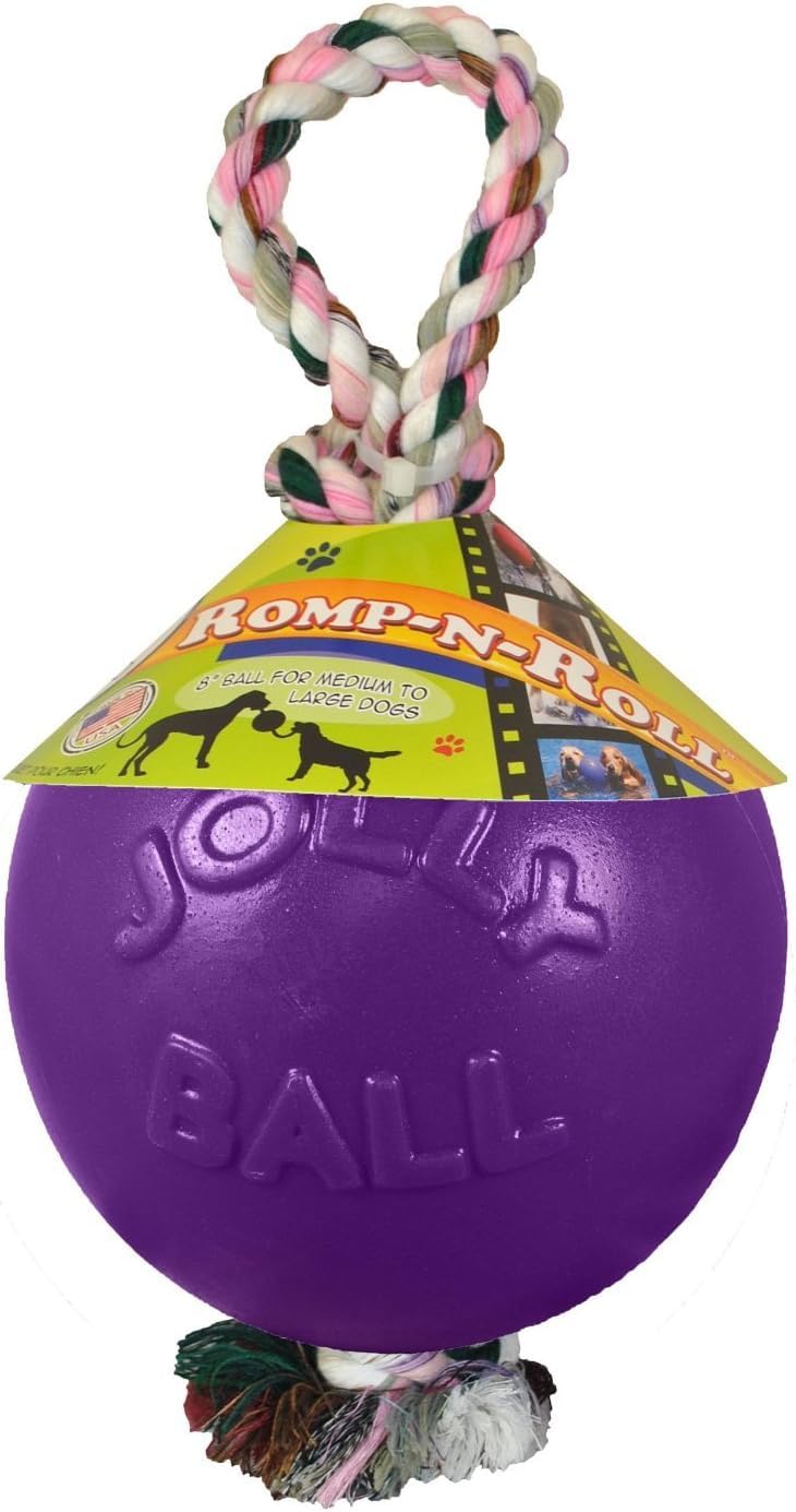 Jolly Pets Romp-n-Roll Rope and Ball Dog Toy, 8 Inches/Large, Orange