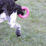 Mutty Dog Chew Ring - Made in USA Dog Toys for Chewers - One Meal Donated to Shelters per Toy - Durable Rubber Dog Toy - Non-Toxic 100% Food Grade Materials