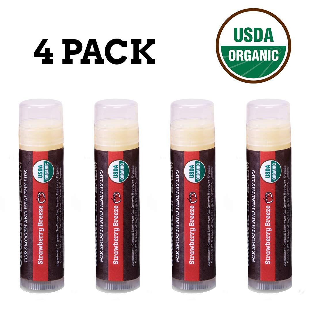 USDA Organic Lip Balm 6-Pack by Earth's Daughter Stocking Stuffers - Fruit Flavors, Beeswax, Coconut Oil, Vitamin E - Best Lip Repair Chapstick for Dry Cracked Lips - Moisturizing Lip Care