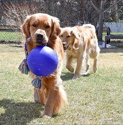 Jolly Pets Romp-n-Roll Rope and Ball Dog Toy, 8 Inches/Large, Orange