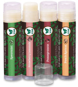 USDA Organic Lip Balm 6-Pack by Earth's Daughter Stocking Stuffers - Fruit Flavors, Beeswax, Coconut Oil, Vitamin E - Best Lip Repair Chapstick for Dry Cracked Lips - Moisturizing Lip Care