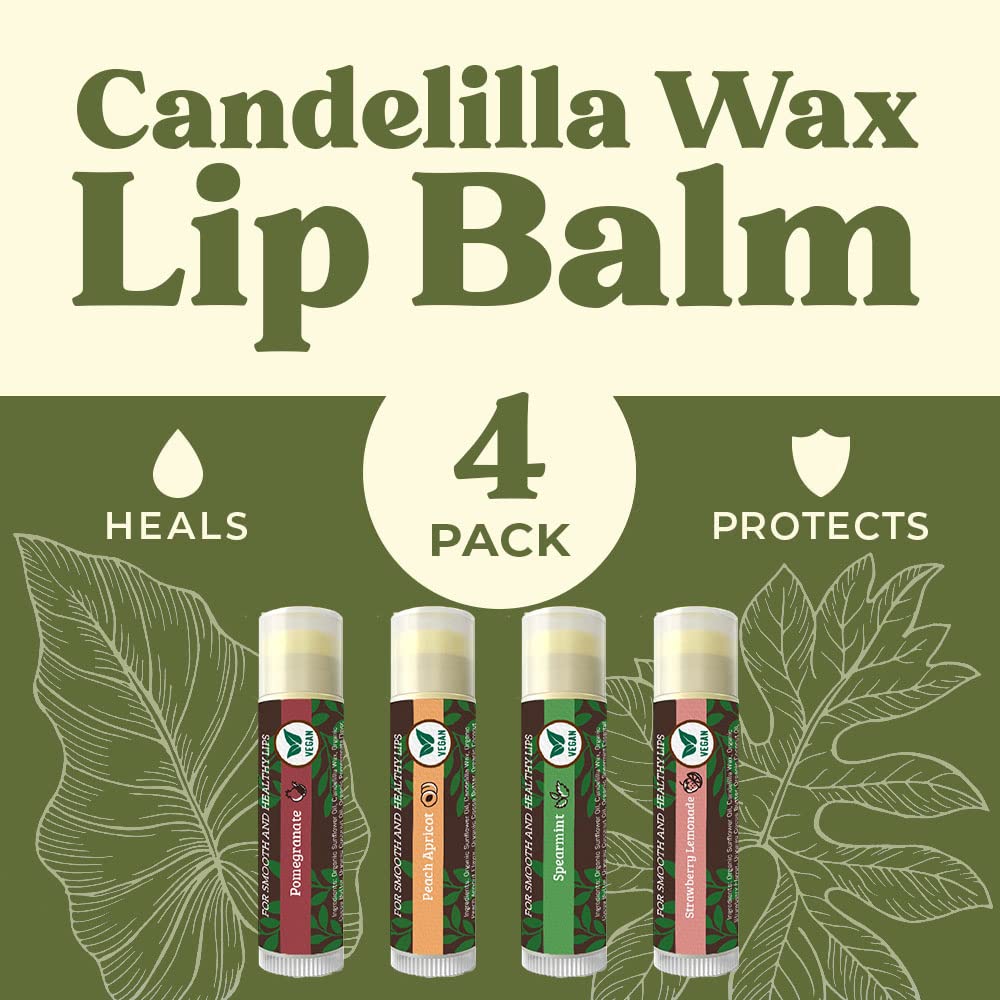 USDA Organic Lip Balm 6-Pack by Earth's Daughter Stocking Stuffers - Fruit Flavors, Beeswax, Coconut Oil, Vitamin E - Best Lip Repair Chapstick for Dry Cracked Lips - Moisturizing Lip Care