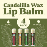USDA Organic Lip Balm 6-Pack by Earth's Daughter Stocking Stuffers - Fruit Flavors, Beeswax, Coconut Oil, Vitamin E - Best Lip Repair Chapstick for Dry Cracked Lips - Moisturizing Lip Care