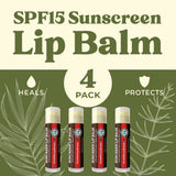 USDA Organic Lip Balm 6-Pack by Earth's Daughter Stocking Stuffers - Fruit Flavors, Beeswax, Coconut Oil, Vitamin E - Best Lip Repair Chapstick for Dry Cracked Lips - Moisturizing Lip Care