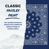 B53 100% Cotton Paisley Bandanas Made in the USA - Stylish Headband, Handkerchief, Scarf - 21 inch x 21 inch