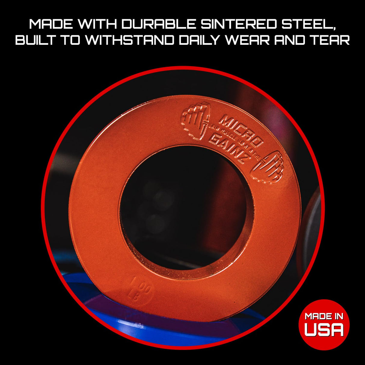 Micro Gainz Multi-Color Calibrated Fractional Weight Plates Set of 2 Pieces, Choose Set (.25LB-1LB), Designed for Olympic Barbell Weights for Strength Training, Made in USA