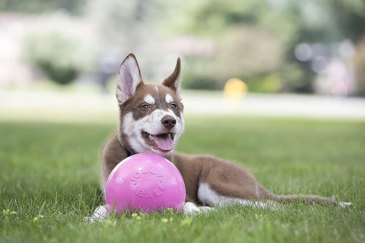 Jolly Pets Bounce-n-Play Dog Toy Ball, 6 Inches, Pink, 6 Inches/Medium (2506 PK)