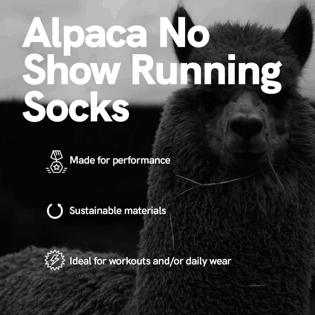 Alpaca Wool Socks - Made in the USA, Alpaca and Merino Wool Blend