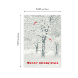 Masterpiece Sparkling Santa Christmas Cards / 16 Festive Holiday Cards Set With White Envelopes / 5 5/8" x 7 7/8" Winter Gold Foil Greeting Cards With Inside Verse/Made In The USA