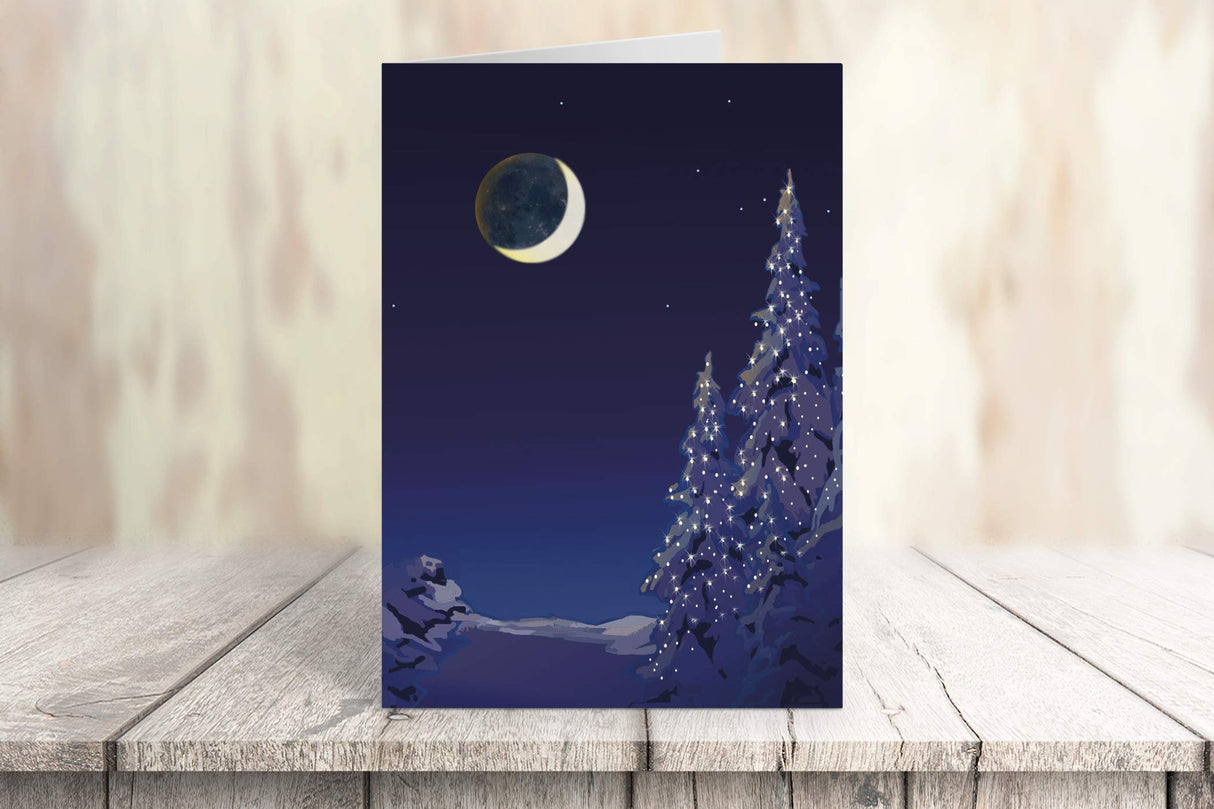 Stonehouse Collection Assorted Christmas Cards | Winter Forest Holiday Boxed Cards | USA Made | 18 Beautiful Christmas Cards & Envelopes (Forest)