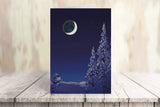 Stonehouse Collection Assorted Christmas Cards | Winter Forest Holiday Boxed Cards | USA Made | 18 Beautiful Christmas Cards & Envelopes (Forest)