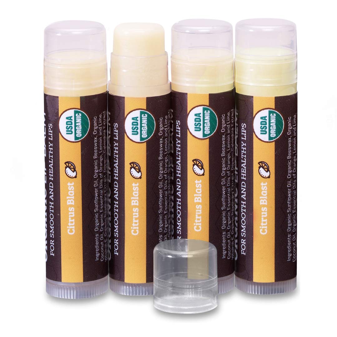 USDA Organic Lip Balm 6-Pack by Earth's Daughter Stocking Stuffers - Fruit Flavors, Beeswax, Coconut Oil, Vitamin E - Best Lip Repair Chapstick for Dry Cracked Lips - Moisturizing Lip Care