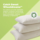 Multi Grain Japanese Pillow - 14" x 20" - Organic Cotton Zippered Shell with 1 Side Organic Millet and 1 side Organic Buckwheat - Bed Body Floor Cushion Insert Couch Throw Bolster - Made in USA