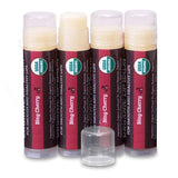 USDA Organic Lip Balm 6-Pack by Earth's Daughter Stocking Stuffers - Fruit Flavors, Beeswax, Coconut Oil, Vitamin E - Best Lip Repair Chapstick for Dry Cracked Lips - Moisturizing Lip Care