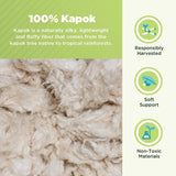 Kapok Standard Bed Pillow - 20" x 26" - Organic Cotton, Vegan, Premium Quality - Made in USA - Neck Bed Body Floor Cushion Insert Couch Throw Bolster - Organic Eco Friendly Fabric and Fill