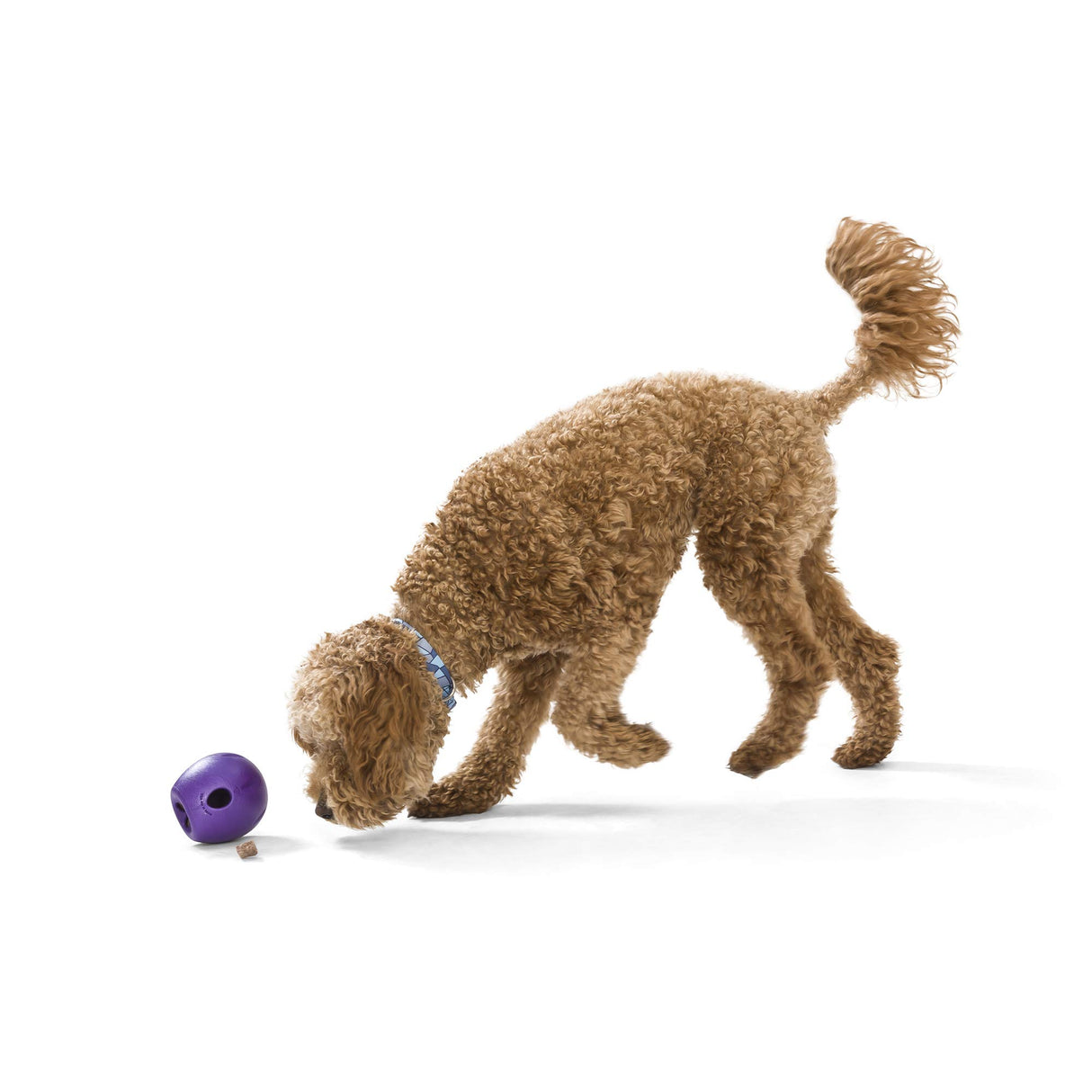 West Paw Zogoflex Rumbl Treat-Dispensing Dog Toy – Interactive Slow-Feeder Chew – Enrichment Toy Moderate Chewers, Fetch, Catch – Holds Kibble, (Eggplant, Large)