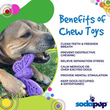 SodaPup Hot Dog – Durable Dog Chew Toy Made in USA from Non-Toxic, Pet Safe, Food Safe Nylon Material for Mental Stimulation, Clean Teeth, Fresh Breath, Problem Chewing, Calming Nerves, & More