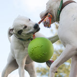 Jolly Pets Romp-n-Roll Rope and Ball Dog Toy, 8 Inches/Large, Orange