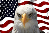 Rogue River Tactical USA American Mad Eagle Flag Metal Tin Sign Wall Decor Man Cave Bar US United States