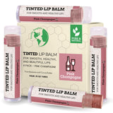 USDA Organic Lip Balm 6-Pack by Earth's Daughter Stocking Stuffers - Fruit Flavors, Beeswax, Coconut Oil, Vitamin E - Best Lip Repair Chapstick for Dry Cracked Lips - Moisturizing Lip Care