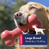 KONG Goodie Bone - Classic Durable Natural Rubber Dog Bone, Supports Mental Engagement - Treat Dispensing - Red - for Medium Dogs