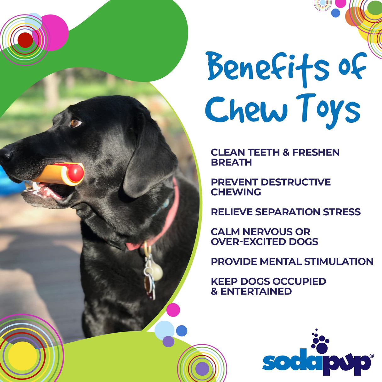 SodaPup Hot Dog – Durable Dog Chew Toy Made in USA from Non-Toxic, Pet Safe, Food Safe Nylon Material for Mental Stimulation, Clean Teeth, Fresh Breath, Problem Chewing, Calming Nerves, & More