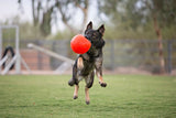 Jolly Pets Medium Soccer Ball Floating-Bouncing Dog Toy, 6 inch Diameter, Apple Green (SB06 GR)
