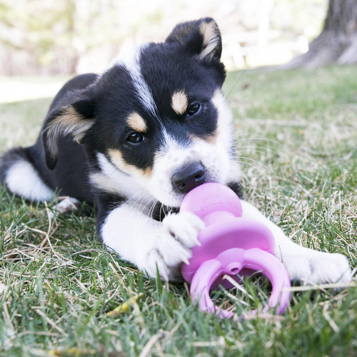 KONG Puppy Binkie - Pacifier Dog Toy for Puppies - Stuffable Chew Toy for Puppy Playtime - Durable Natural Rubber Dog Treat Toy for Teething Puppy - for Small Puppies - Blue